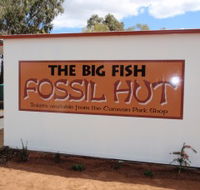 Big Fish Fossil Hut at Peak Hill - Accommodation Southport