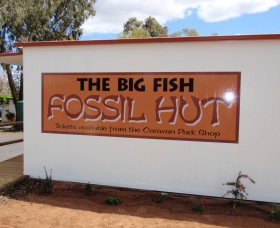 Big Fish Fossil Hut At Peak Hill - Accommodation Southport 0