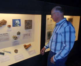 Big Fish Fossil Hut At Peak Hill - Accommodation Southport 1