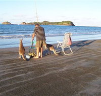 Cape Hillsborough National Park - Accommodation Southport