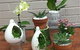 Cobram Florist - thumb 0