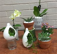 Cobram Florist - Accommodation Southport