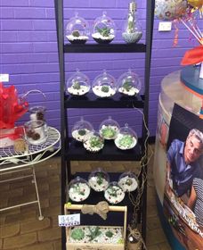 Cobram Florist - Southport Accommodation 3