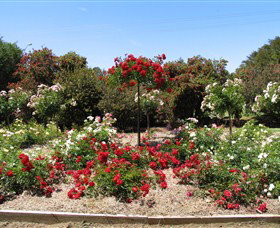 Barooga Botanical Gardens - Southport Accommodation 2