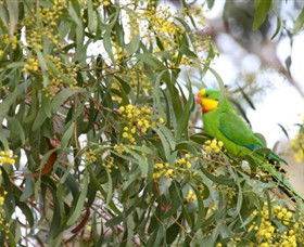 Savernake Day Tours - Southport Accommodation 3