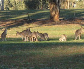 Savernake Day Tours - Southport Accommodation 4