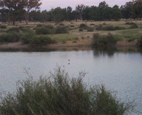 Savernake Day Tours - Southport Accommodation 7