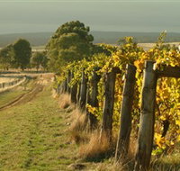 Captains Creek Organic Wines - Southport Accommodation