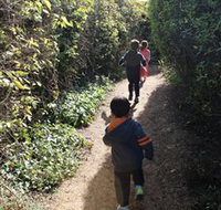 The Tangled Maze  Mistydowns Nursery - Southport Accommodation