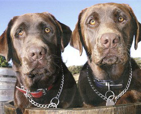 Ellender Estate - Accommodation Southport 7