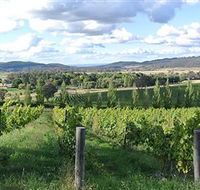 Sassy Wines - Southport Accommodation