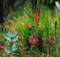 Enfield State Park - Southport Accommodation