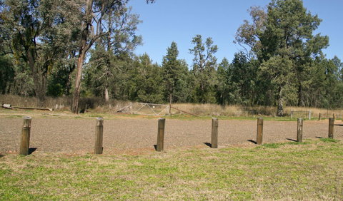 Terry Hie Hie Picnic Area - Southport Accommodation 2