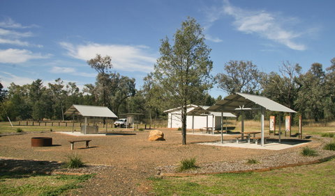 Terry Hie Hie Picnic Area - Southport Accommodation 3