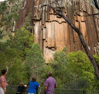 Sawn Rocks walking track - Accommodation Southport