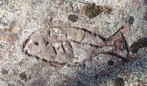 Terry Hie Hie Aboriginal Area - Accommodation Southport 3