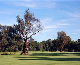 Corowa Golf Club - Southport Accommodation 5