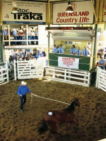 Gracemere QLD Accommodation Southport