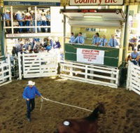 Gracemere Exhibition Complex - Accommodation Southport