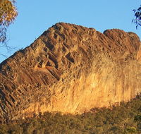 Kaputar scenic drive - Accommodation Southport