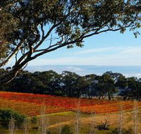 Bloodwood Estate - Southport Accommodation