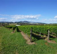 Hedberg Hill Wines - Southport Accommodation
