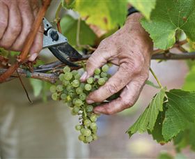 Austins & Co. - Accommodation Southport 1