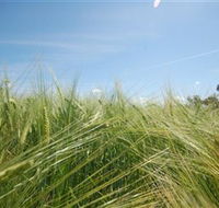 150 Degrees East Meridian - Accommodation Southport