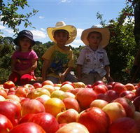 Bonny Glen Fruits - Southport Accommodation