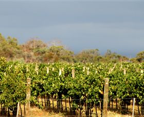 Amulet Vineyard And Beechworth Cider - Southport Accommodation 7