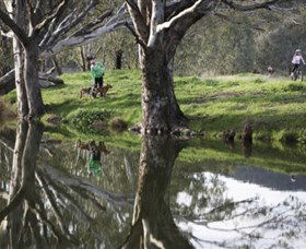 Albury - Murray River Precinct - Accommodation Southport 3
