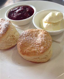 High Valley Cheese Co - Southport Accommodation 4