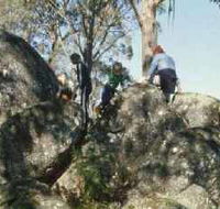 Mount Samaria State Park - Southport Accommodation
