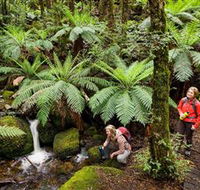 Baw Baw National Park - Southport Accommodation