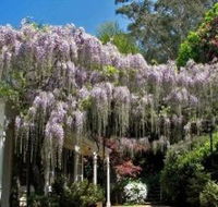 Nooroo Gardens - Southport Accommodation