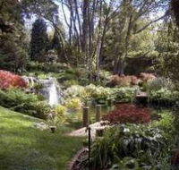 Windyridge Garden Mount Wilson - Southport Accommodation