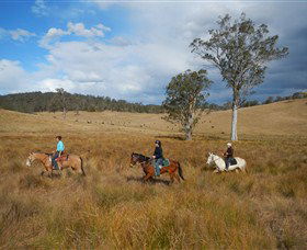 Chapman Valley Horse Riding - Southport Accommodation 0