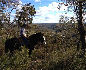 Chapman Valley Horse Riding - Southport Accommodation 2