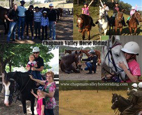 Chapman Valley Horse Riding - Southport Accommodation 5