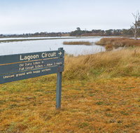 Lagoon Circuit walking track - Southport Accommodation