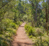 Mares Forest Creek walking track - Accommodation Southport