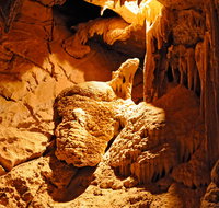 Fig Tree Cave - Accommodation Southport