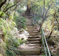Nature track - Southport Accommodation