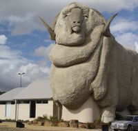 Big Merino - Southport Accommodation