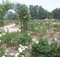 Victoria Park Rose Garden - Southport Accommodation