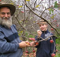 Pine Crest Orchard - Southport Accommodation