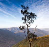 Salisbury Waters walking track - Accommodation Southport