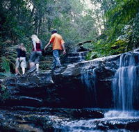 South Lawson Waterfall Circuit - Southport Accommodation