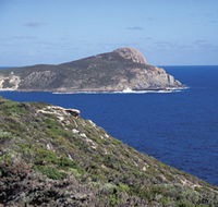 Bald Head Walking Track - Southport Accommodation