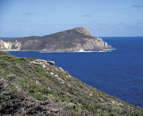 Bald Head Walking Track - Southport Accommodation 0